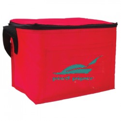 Insulated Non-Woven 6- Pack Cooler Lunch Bag